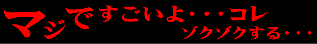 マジですごいよ・・・コレゾクゾクする・・・