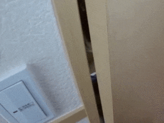トイレ 覗く ドッキリ GIF エロ画像