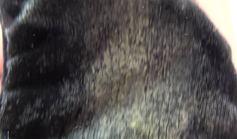 シミ パンツ エロ画像 【13】