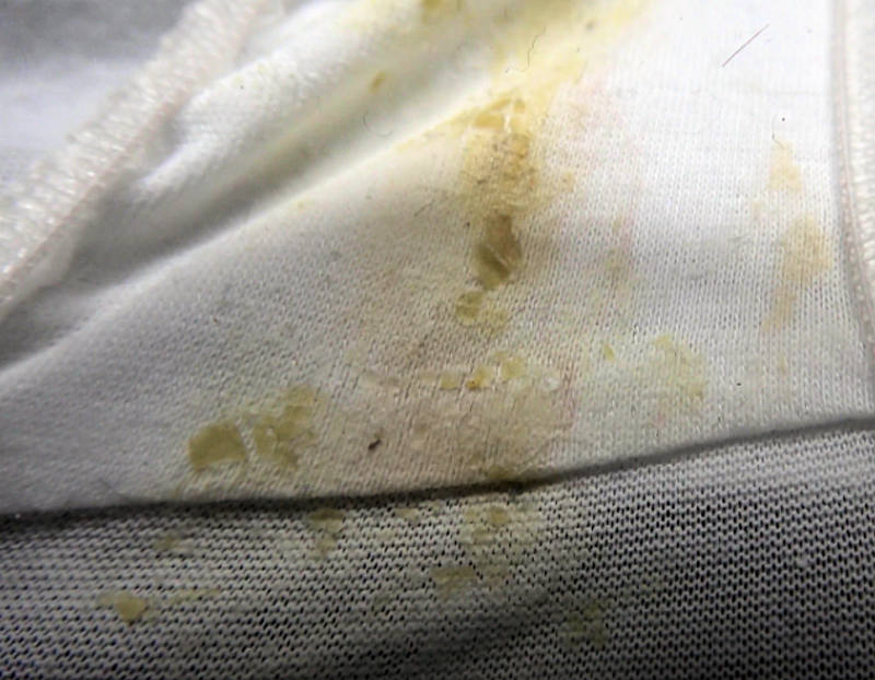 シミ パンツ エロ画像 【37】