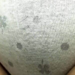 ハミ毛してます接写パンツのエロ画像